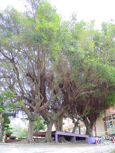 村東國小：作伙來企投【彰化大村･村東國小】像童話繪本的社區閱讀中心