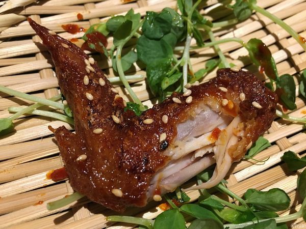 一號46.jpg 一號46.jpg