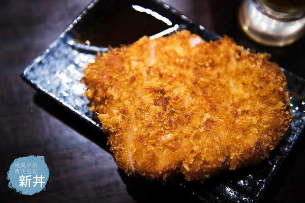 新丼：【中山捷運站|新丼】21種選擇丼飯 絕對可以找到令您滿足的心動滋味 中山捷運站高CP值人氣丼飯二訪（附完整菜單）