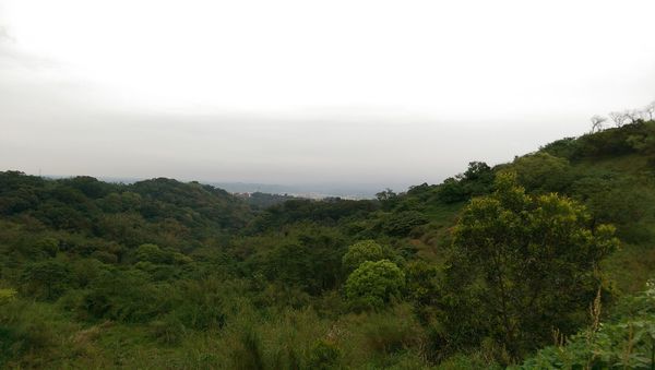 苗栗市免費紫藤花秘境：杜石地一號