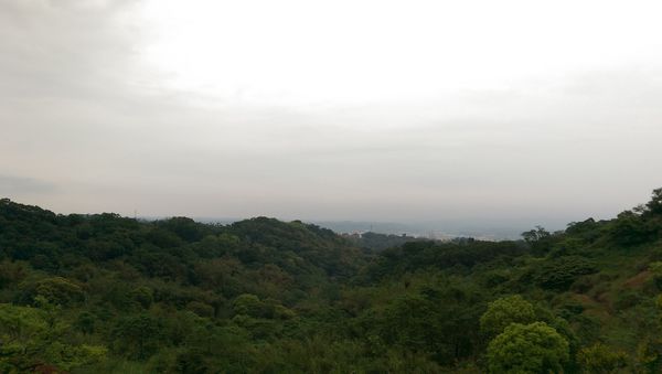 苗栗市免費紫藤花秘境：杜石地一號