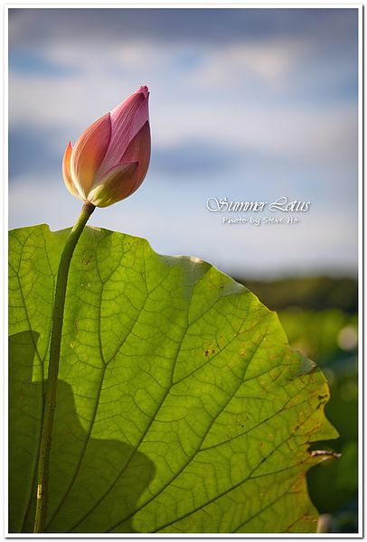 IMG_2749-1-2 IMG_2749-1-2