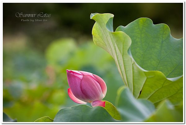 IMG_2835-1-2 IMG_2835-1-2