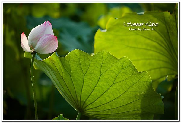 IMG_2745-1-2 IMG_2745-1-2