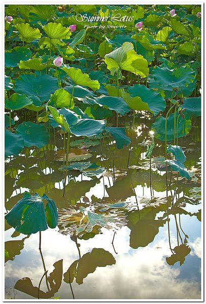 IMG_2739-1 IMG_2739-1