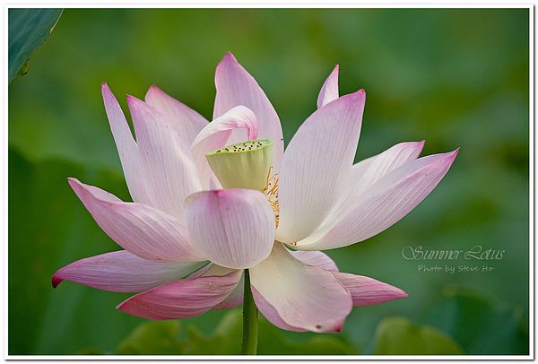 IMG_2852-1-2 IMG_2852-1-2