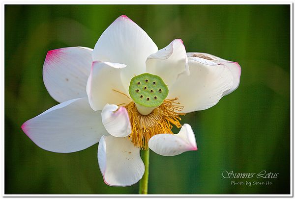 IMG_2729-1-2 IMG_2729-1-2