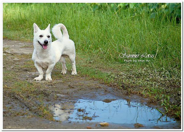 IMG_2717-1-2 IMG_2717-1-2