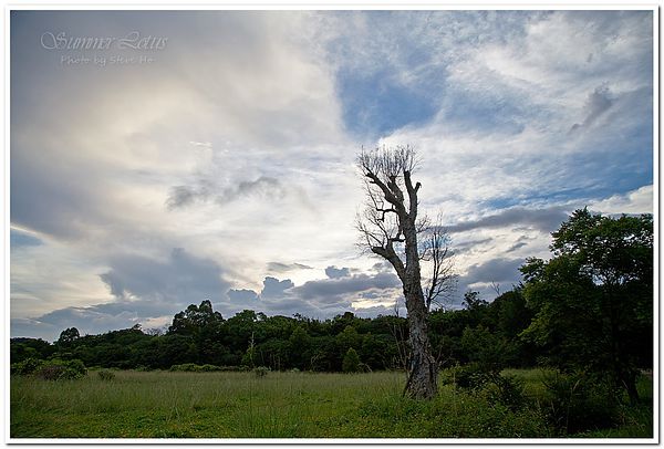 IMG_2900-1-2 IMG_2900-1-2