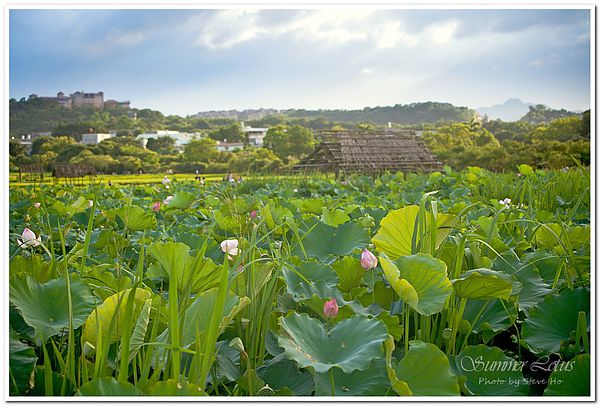 IMG_2727-1-2 IMG_2727-1-2