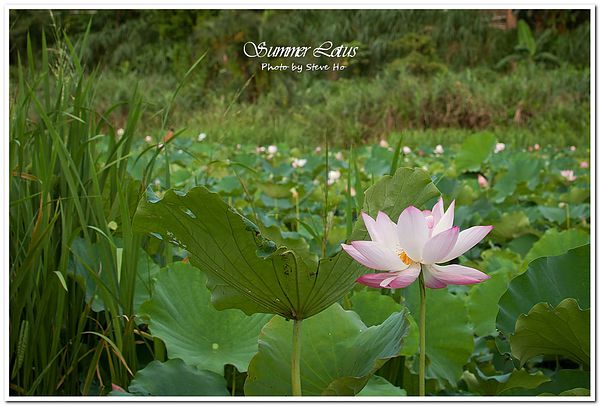 IMG_2844-1 IMG_2844-1