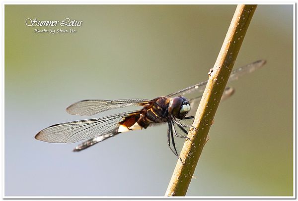 IMG_2741-1-2 IMG_2741-1-2