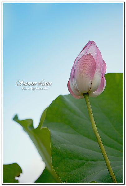 IMG_2803-1-2 IMG_2803-1-2