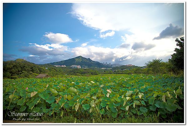 IMG_2719-1 IMG_2719-1