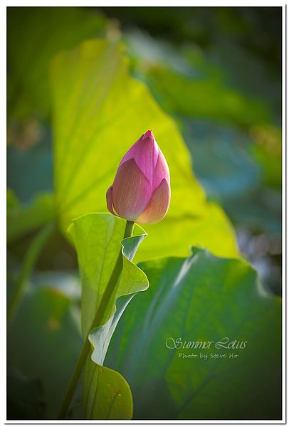 IMG_2751-1-2 IMG_2751-1-2