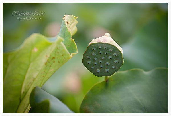 IMG_2889-1-2 IMG_2889-1-2