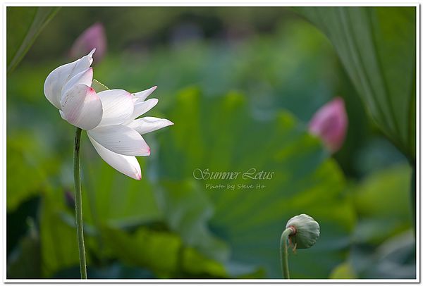 IMG_2752-1-2 IMG_2752-1-2