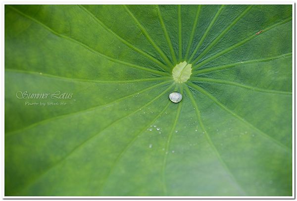 IMG_2820-1-2 IMG_2820-1-2