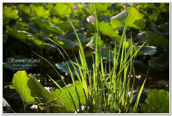 IMG_2744-1-2 IMG_2744-1-2