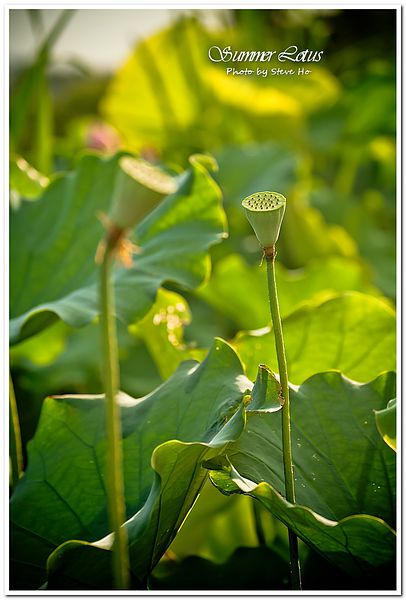 IMG_2721-1-2 IMG_2721-1-2