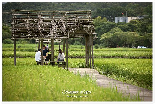 IMG_2779-1-2 IMG_2779-1-2