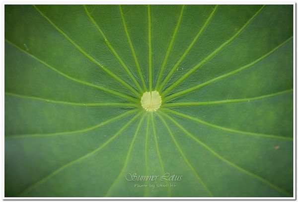 IMG_2811-1-2 IMG_2811-1-2