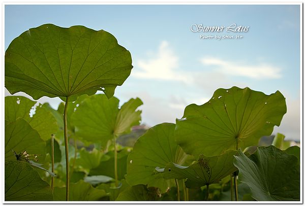 IMG_2878-1-2 IMG_2878-1-2