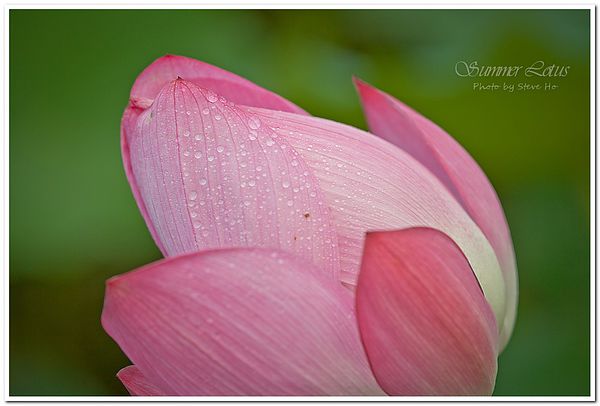 IMG_2814-1-2 IMG_2814-1-2