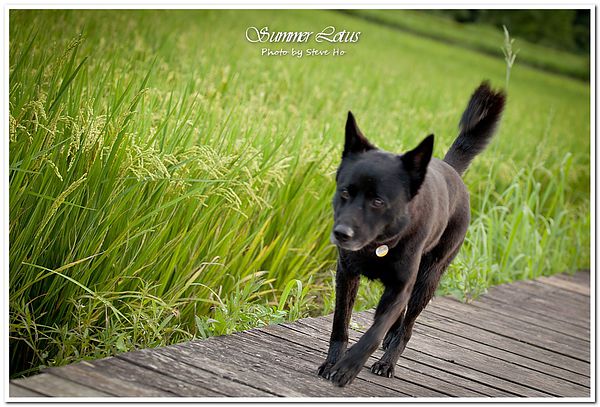 IMG_2785-1 IMG_2785-1