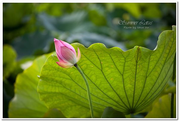 IMG_2756-1-2 IMG_2756-1-2