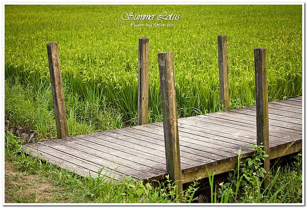 IMG_2781-1-2 IMG_2781-1-2