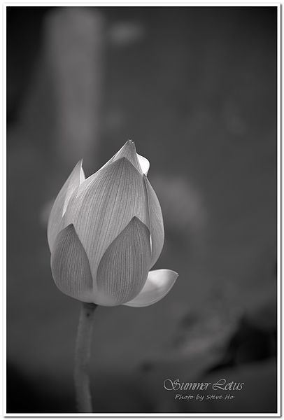 IMG_2722-1 IMG_2722-1