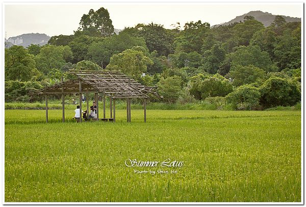 IMG_2768-1-2 IMG_2768-1-2