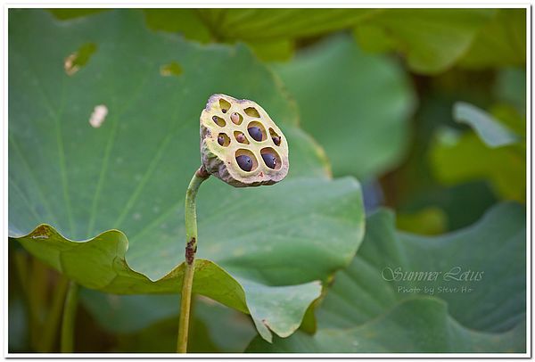 IMG_2810-1-2 IMG_2810-1-2