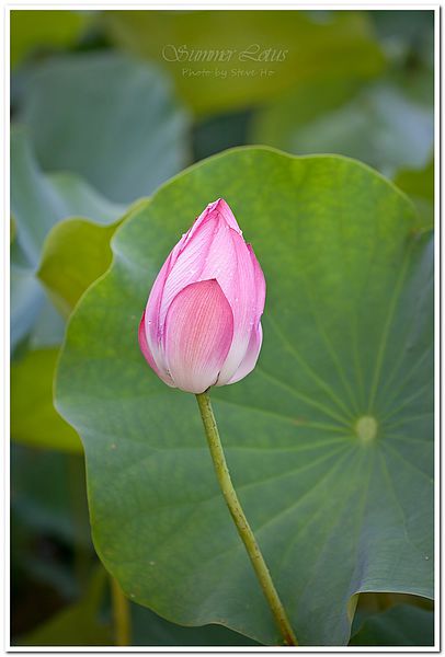 IMG_2800-1-2 IMG_2800-1-2