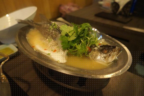 藍象廷泰鍋(慶城店)：藍象廷泰鍋♥ 慶城店 ♥泰式火鍋吃到飽