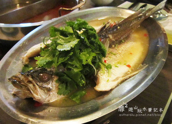 IMG_9118.JPG IMG_9118.JPG