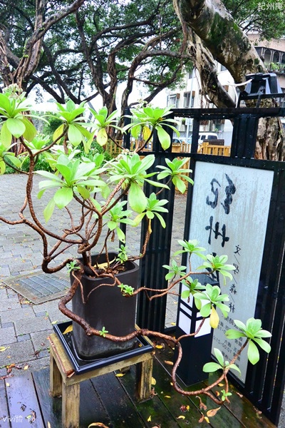 DSC_4474.JPG DSC_4474.JPG