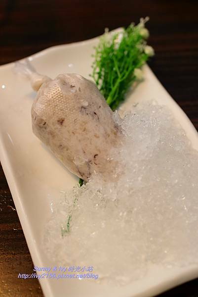 IMG_7586.JPG IMG_7586.JPG