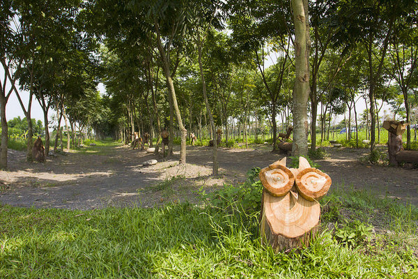 林後四林平地森林園區：【遊記】｛屏東。潮州鎮｝林後四林平地森林園區