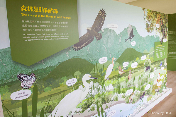 林後四林平地森林園區：【遊記】｛屏東。潮州鎮｝林後四林平地森林園區