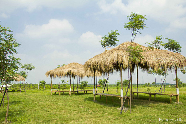 林後四林平地森林園區：【遊記】｛屏東。潮州鎮｝林後四林平地森林園區