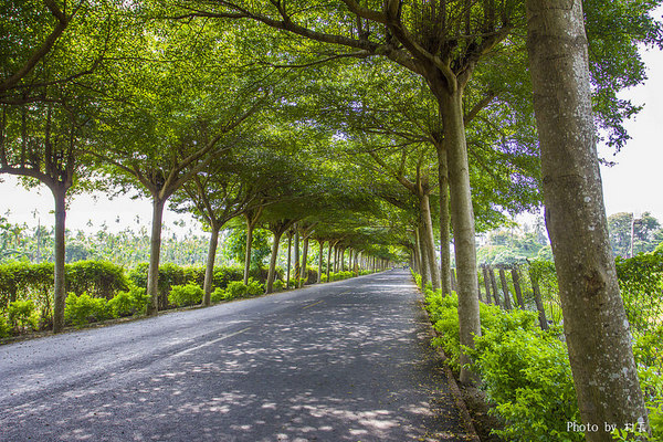 林後四林平地森林園區：【遊記】｛屏東。潮州鎮｝林後四林平地森林園區