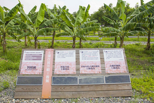 林後四林平地森林園區：【遊記】｛屏東。潮州鎮｝林後四林平地森林園區