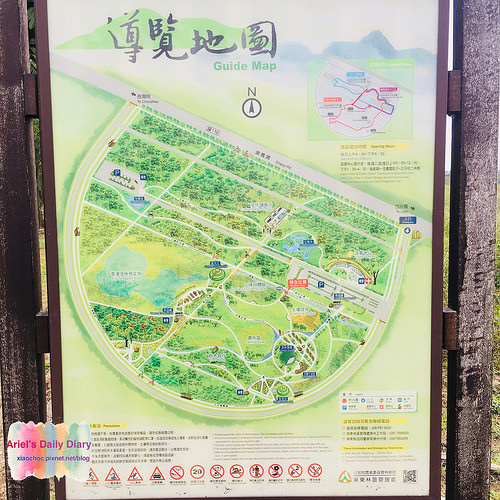 【屏東旅遊】潮州林後四林平地森林園區◆屏東免費森林好去處◆大片綠色森林遛小孩、放風箏、野餐、毛小孩放電好去處