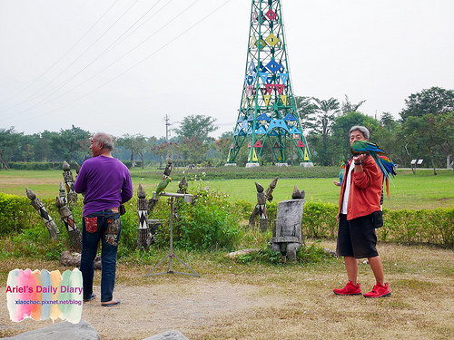 【屏東旅遊】潮州林後四林平地森林園區◆屏東免費森林好去處◆大片綠色森林遛小孩、放風箏、野餐、毛小孩放電好去處