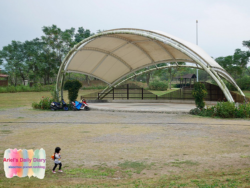 【屏東旅遊】潮州林後四林平地森林園區◆屏東免費森林好去處◆大片綠色森林遛小孩、放風箏、野餐、毛小孩放電好去處