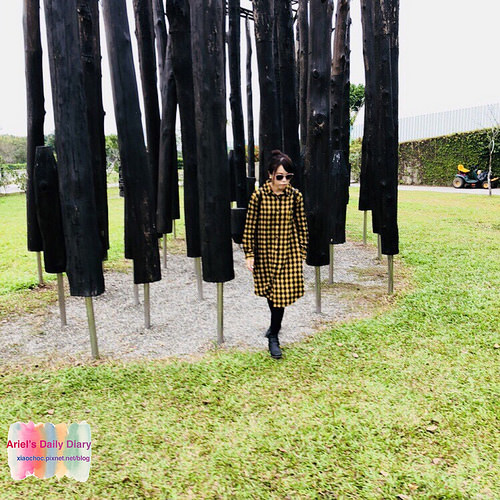 【屏東旅遊】潮州林後四林平地森林園區◆屏東免費森林好去處◆大片綠色森林遛小孩、放風箏、野餐、毛小孩放電好去處