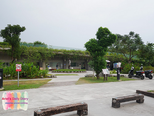 【屏東旅遊】潮州林後四林平地森林園區◆屏東免費森林好去處◆大片綠色森林遛小孩、放風箏、野餐、毛小孩放電好去處