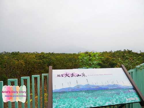 【屏東旅遊】潮州林後四林平地森林園區◆屏東免費森林好去處◆大片綠色森林遛小孩、放風箏、野餐、毛小孩放電好去處